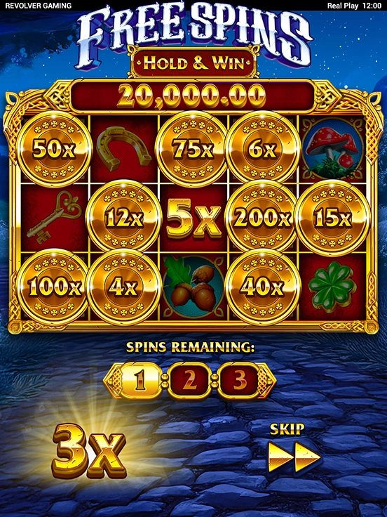Irish Coins Hold & Win screenshot 6